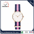 Solar Watch Fashion Silicon Bracelet Wrist Watch (DC-1110)